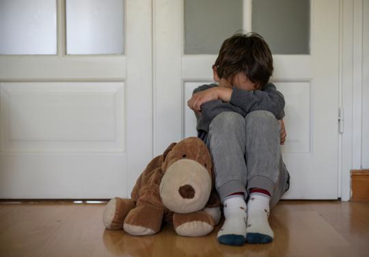 Pour améliorer la prise dans charge des victimes d'inceste, une CPTS réunit professionnels de santé et du médico-social le temps d'une journée