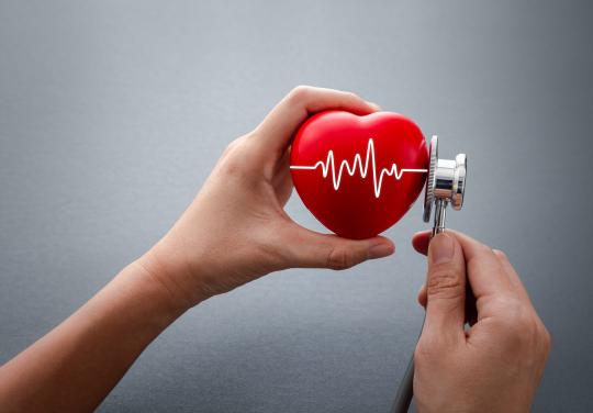 Maladies cardio-neuro-vasculaires : la proposition de loi Neuder de retour à l'Assemblée